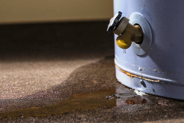 Water damage restoration mold remediation in Morrisville, PA