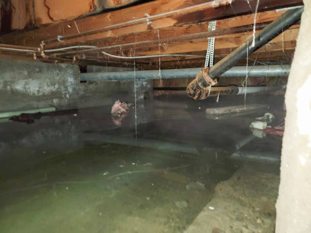 Best 24-hour water damage restoration  in Morrisville, PA