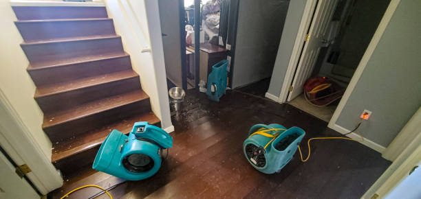 Best Water damage restoration experts  in Morrisville, PA