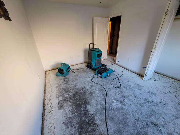 Best Flooded house restoration  in Morrisville, PA