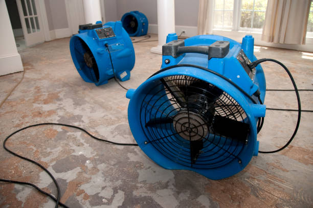 Best Flood damage cleanup  in Morrisville, PA