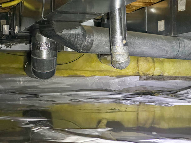 Best Water damage cleanup near me  in Morrisville, PA