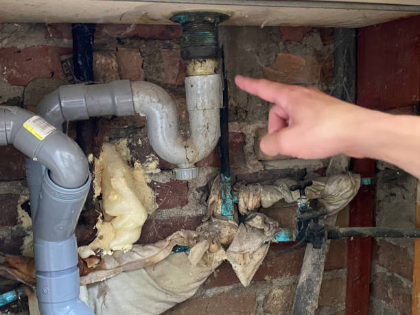 Best Local water damage restoration  in Morrisville, PA