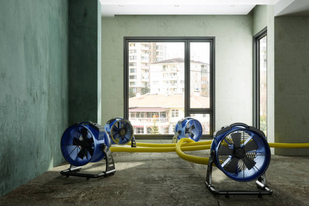 Best 24-hour water damage restoration  in Morrisville, PA